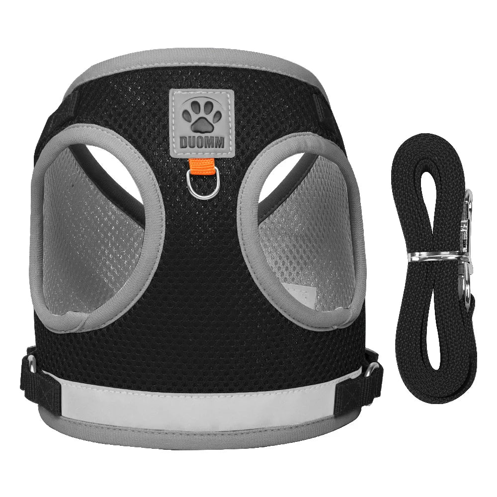 Collars, Leashes & Harnesses