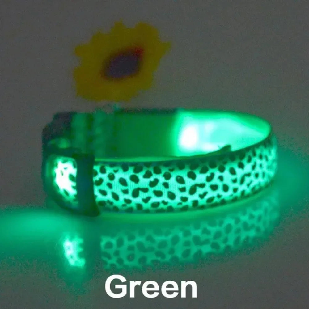Personalized LED Dog Collar