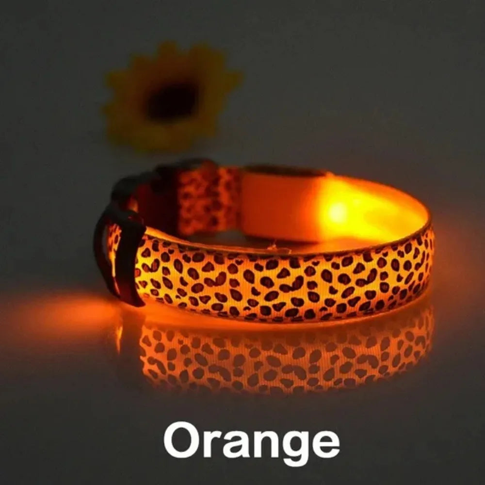 Personalized LED Dog Collar