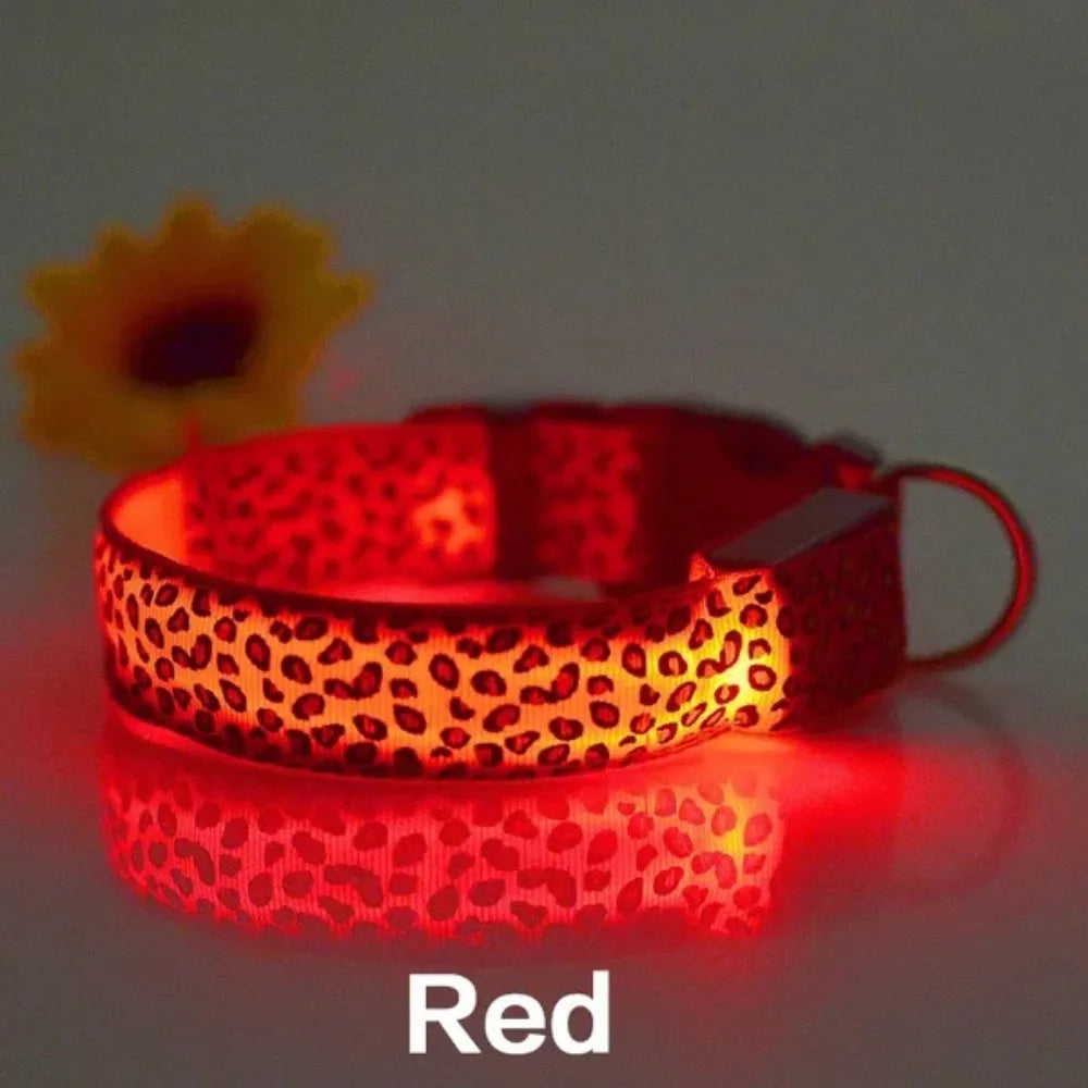 Personalized LED Dog Collar