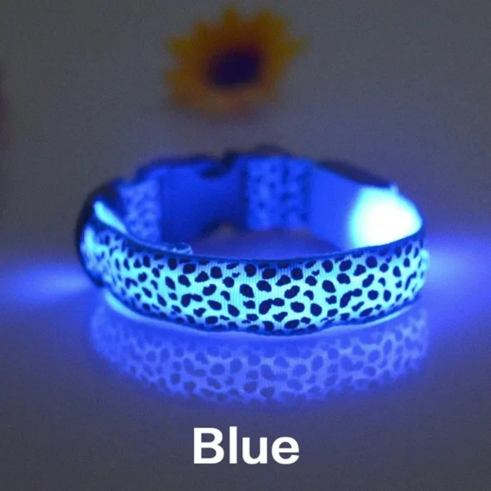 Personalized LED Dog Collar